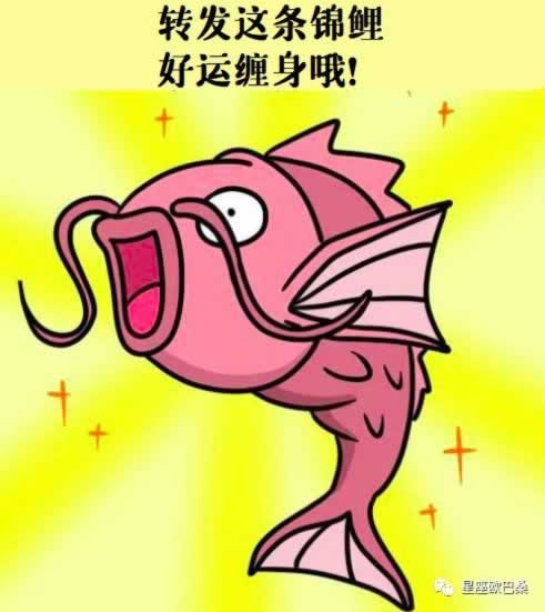 365提款成功但是不到賬要注意（圖）