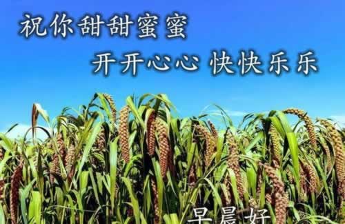 碰到黑網網上第三方不給我取款破解不難（圖）