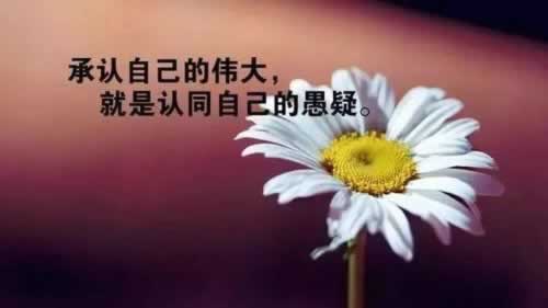 網上平臺一直不給出款 操作策略（圖）