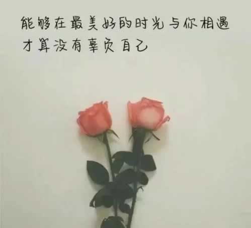 被黑賬戶異常審核不通過怎么辦 解決辦法（圖）